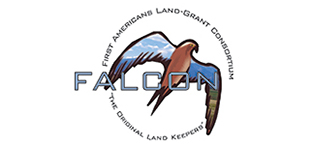 FALCON logo